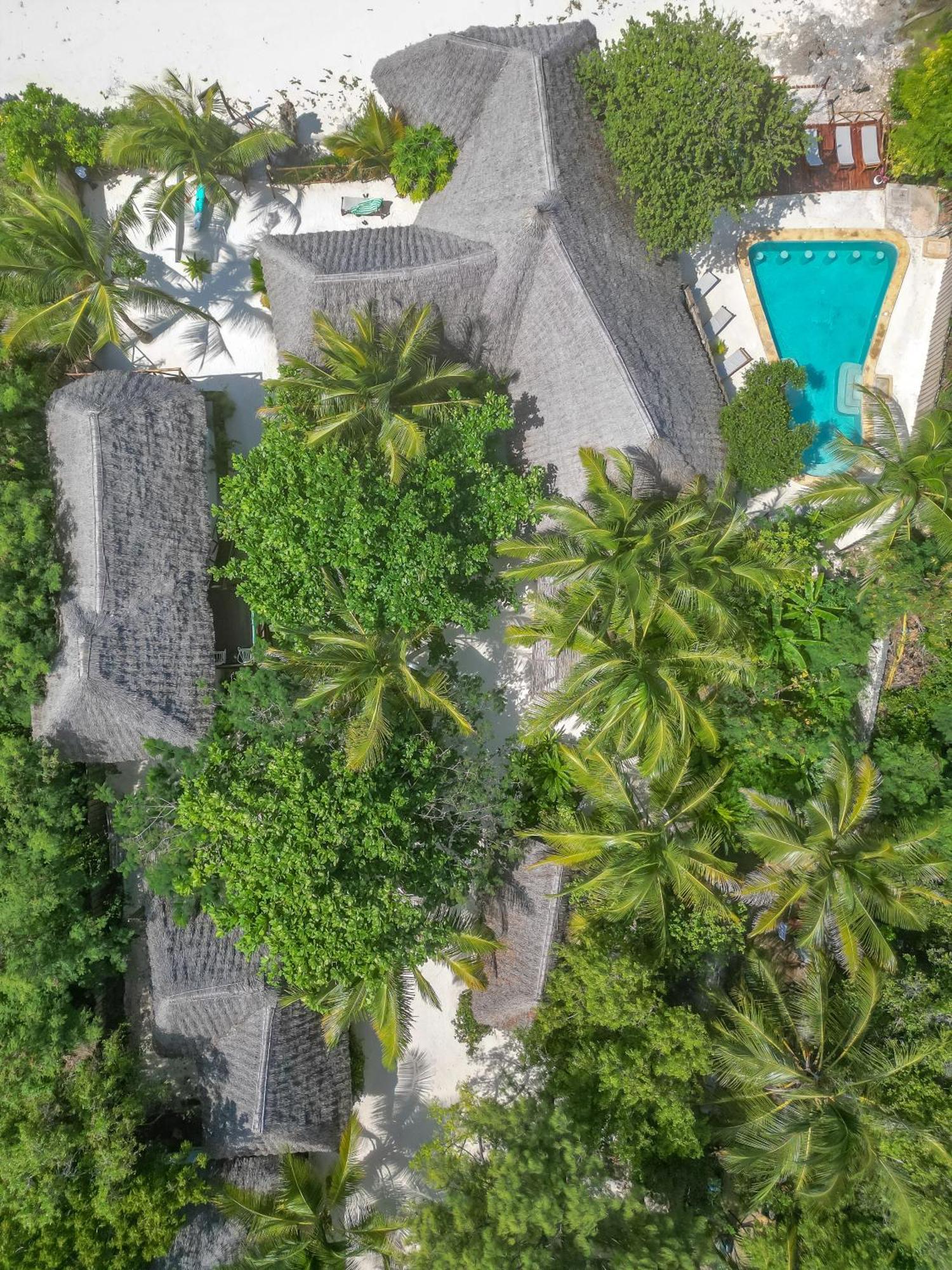 Natural Garden Boutique Hotel Jambiani  Exterior foto