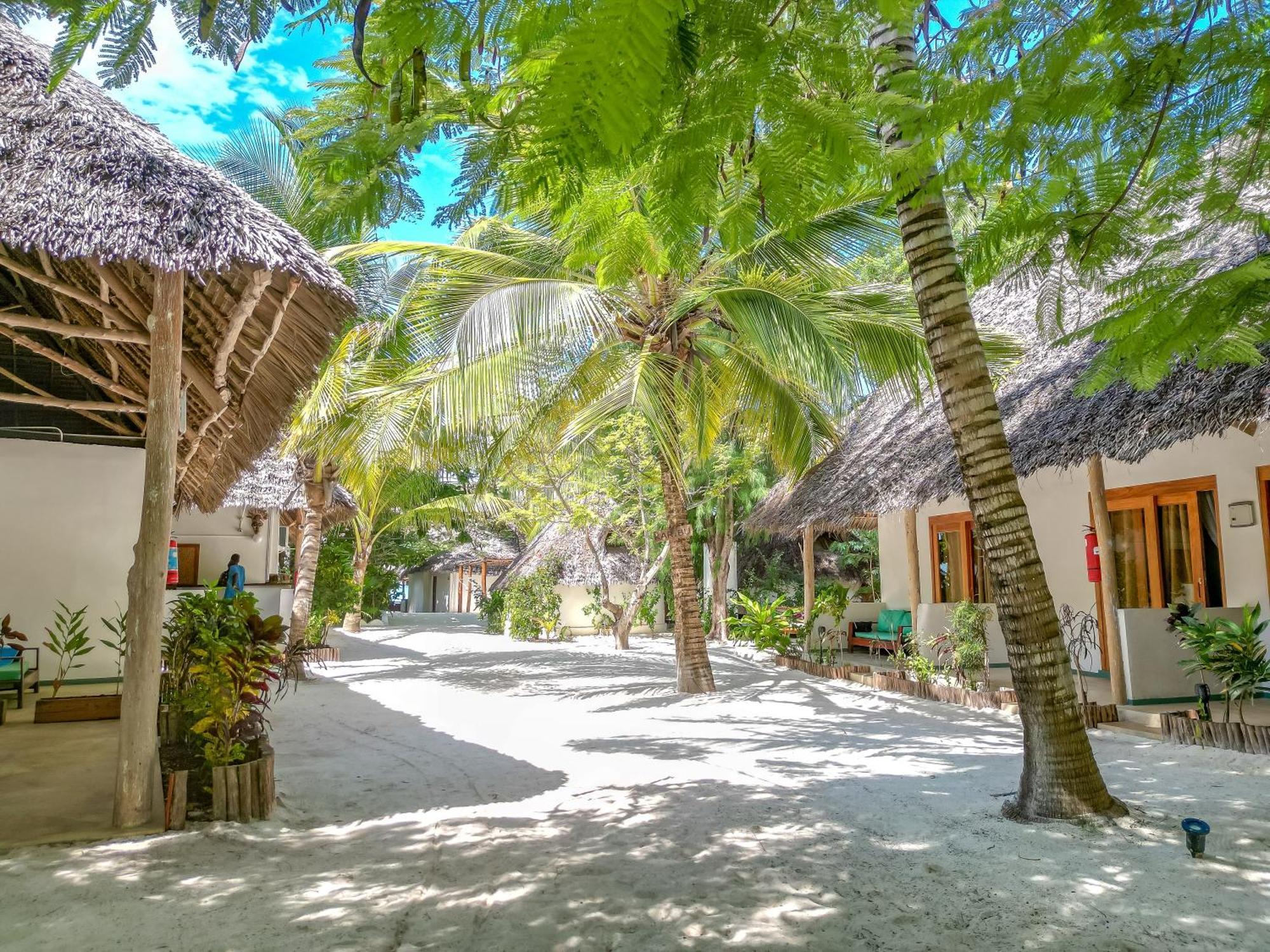 Natural Garden Boutique Hotel Jambiani  Exterior foto