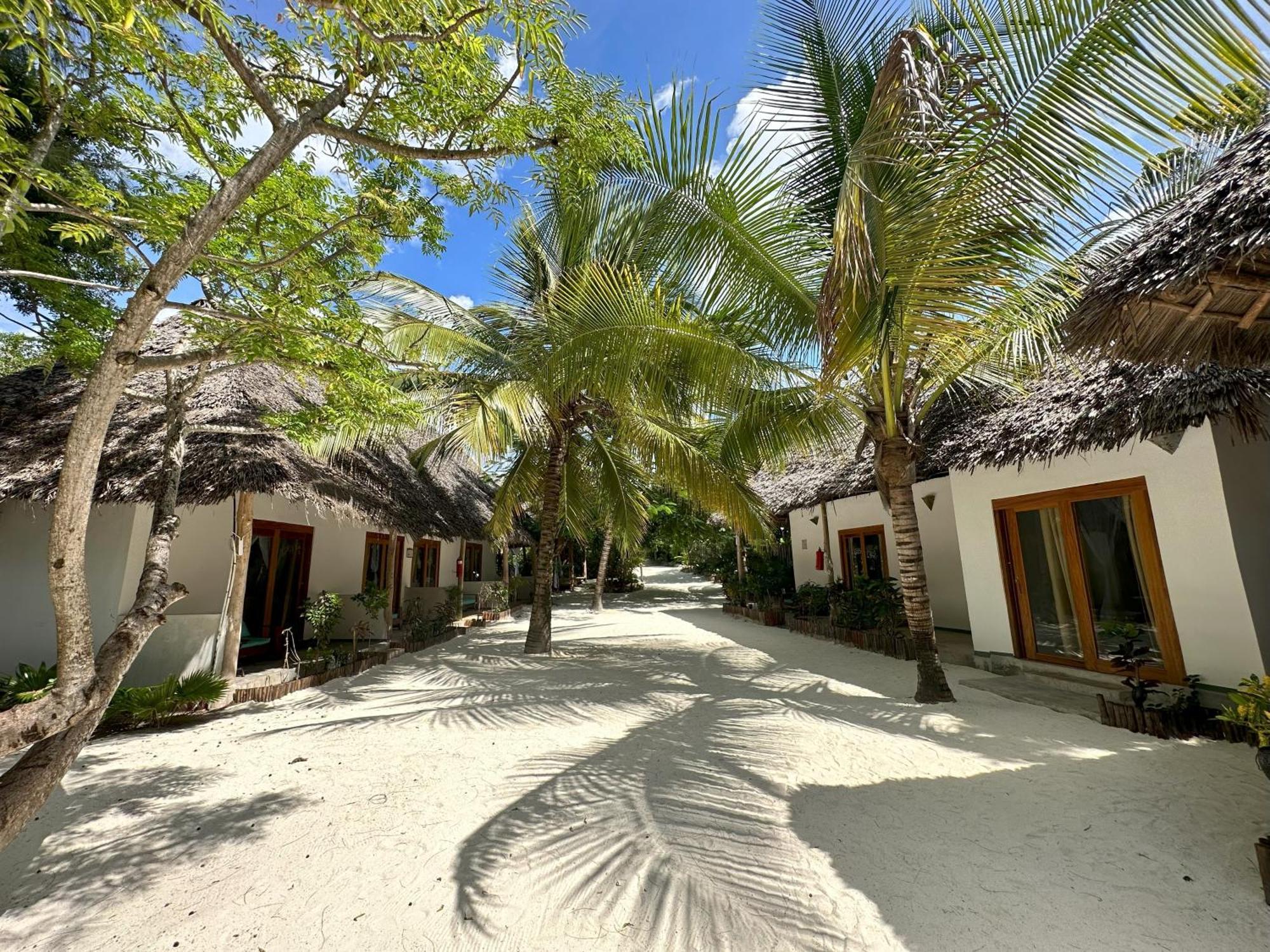 Natural Garden Boutique Hotel Jambiani  Exterior foto